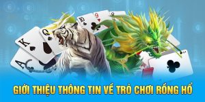 Rồng Hổ MB66 - Siêu Phẩm Giải Trí Hội Viên Săn Đón Nhất 2025